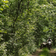 Illustration for article titled 2015 Ural Sidecar Review: WWII Soviet Tech On (And Off) The Road Today